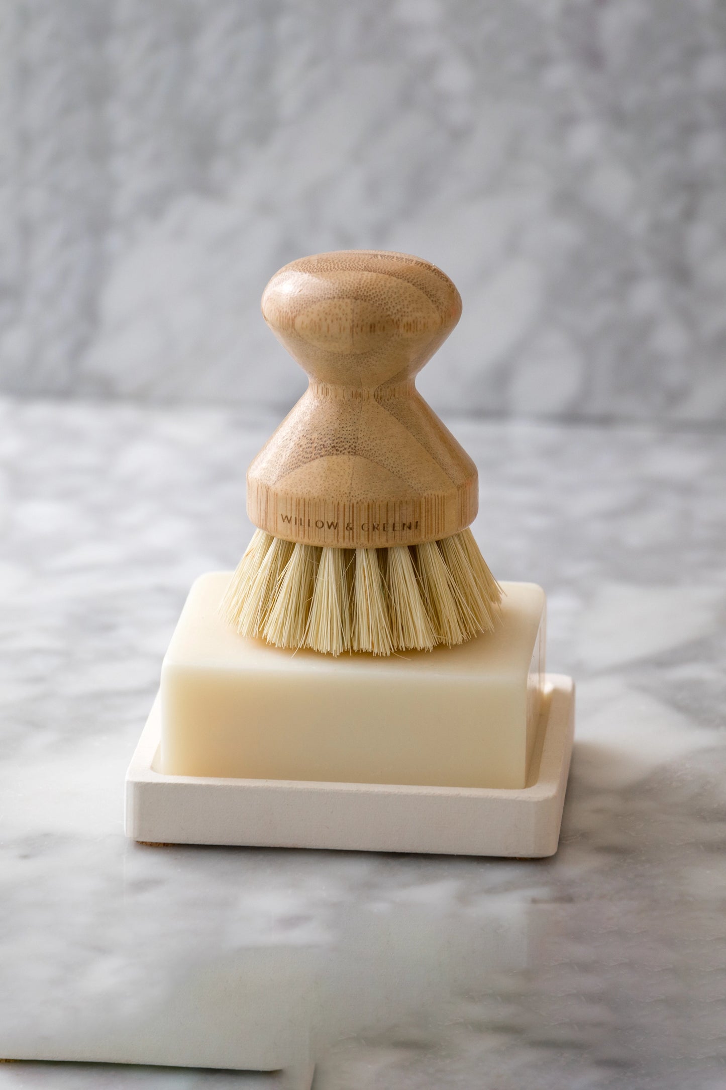 Solid Concentrated Dish Soap Bar, Eucalyptus