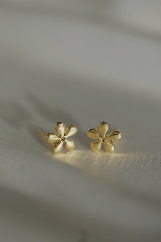 Angie Daisy Studs โฟ - cream